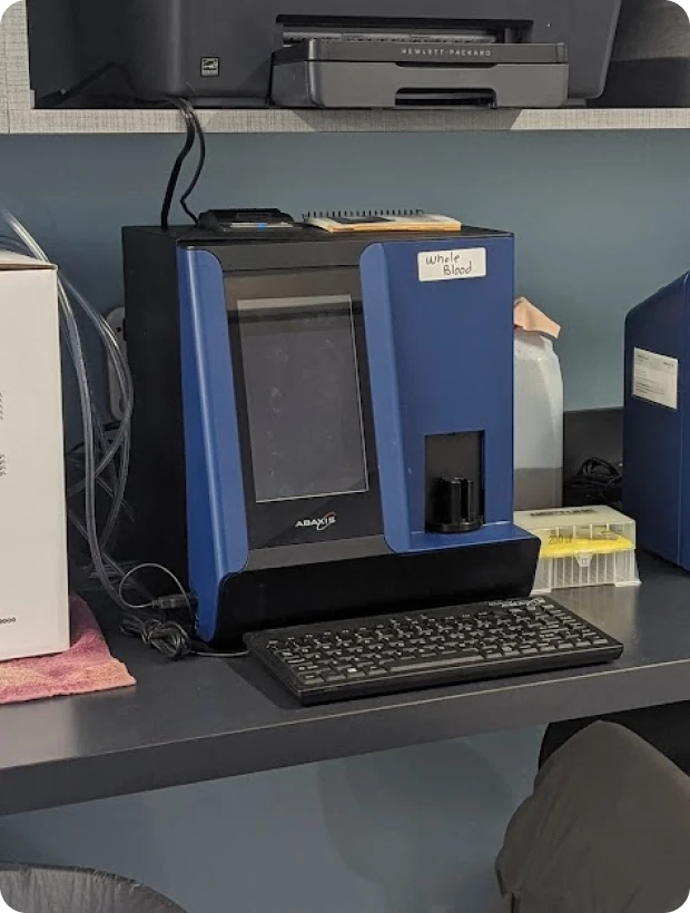 Diagnostics & Imaging